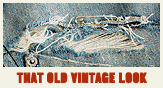 Vintage Apparel