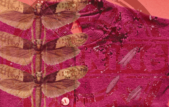 WARNING – What Every Vintage Clothing Collector should be on the LOOK OUT FOR!